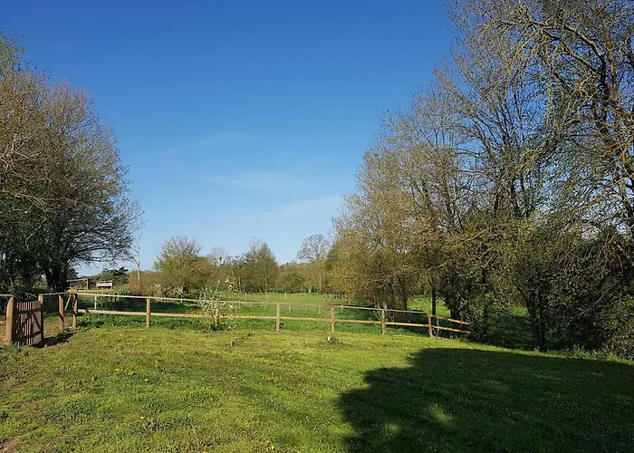 Domaine Du Moulin Neuf Aux Portes De Beauval