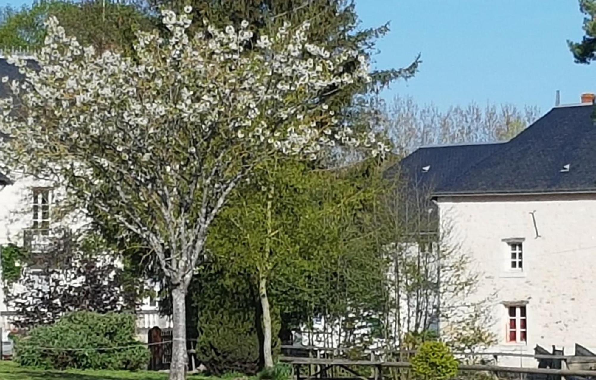 Domaine Du Moulin Neuf Aux Portes De Beauval Nouans-les-Fontaines